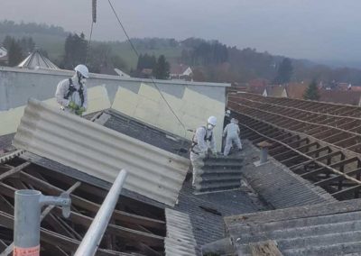 Demontage und Entsorgung von asbesthaltigen Dachplatten (Asbestdach) 2200m² - 12.2020