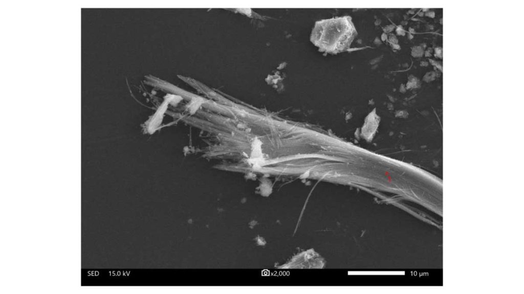 Asbest Analyse durch unser zertifiziertes Partnerlabor | AsbesTTech Darmstadt